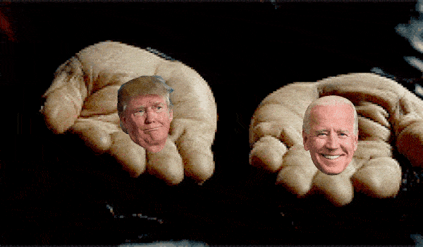 Biden victory