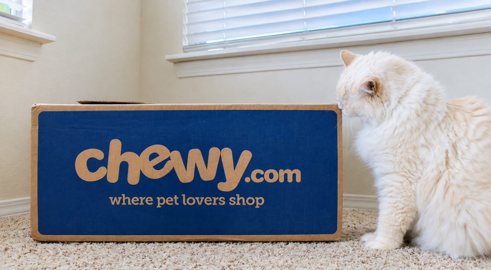 Chewy Boosts Sales Forecast as Health Services Offset Weaker Demand