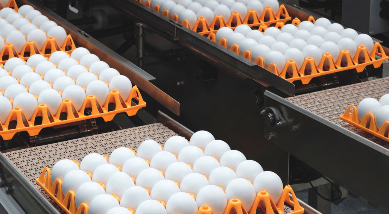 Carton Of Eggs