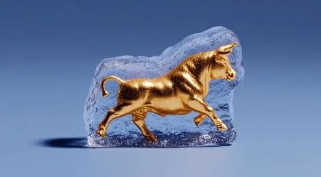 Picture15