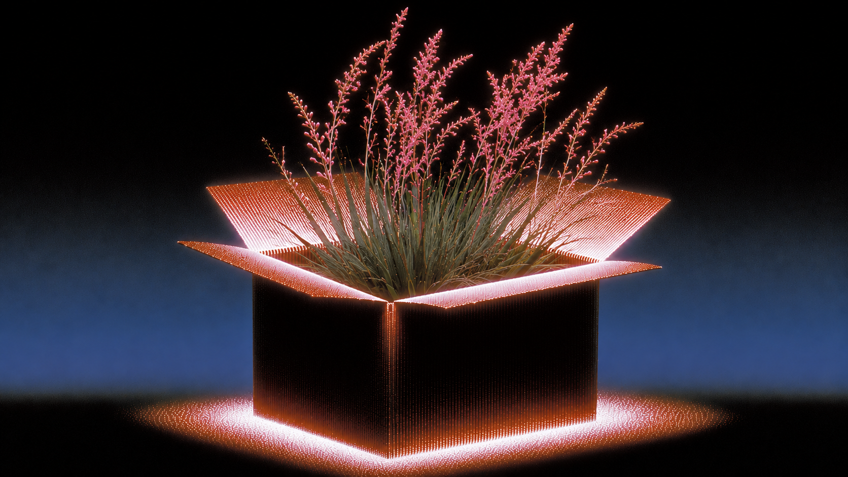 The Paper Industry Finds New Growth as Packaging Markets Tighten