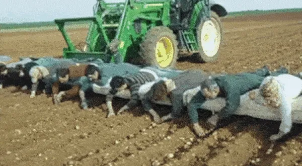 deere