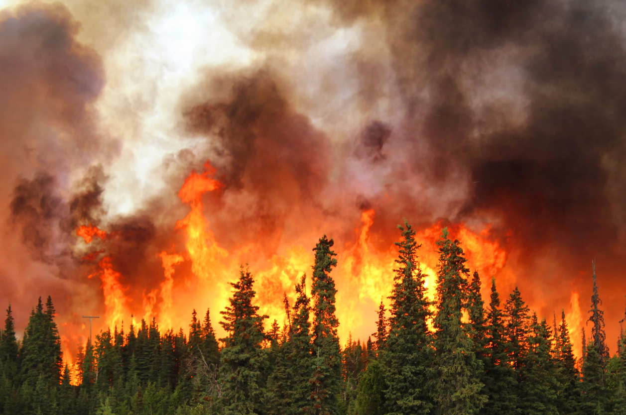 Wall Street Downgrades California Utilities on Wildfire Risk
