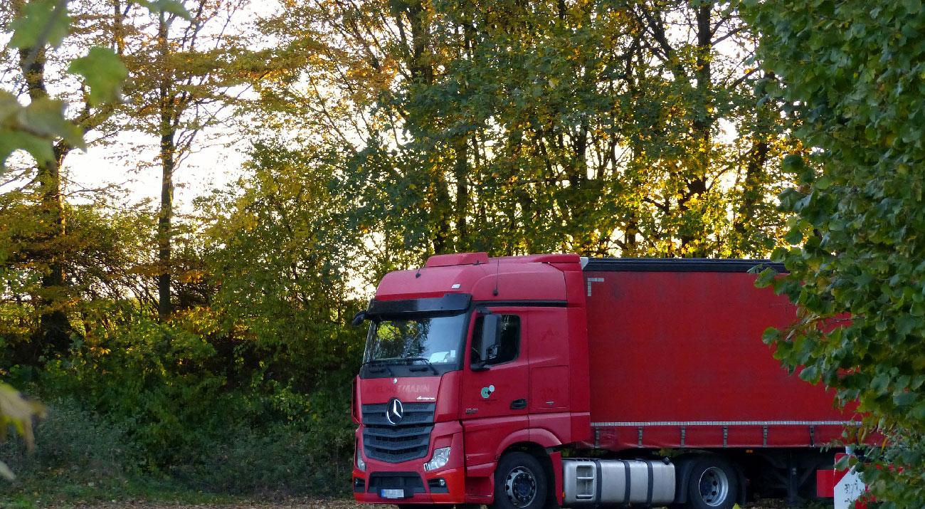 Freight Logistics Surge
